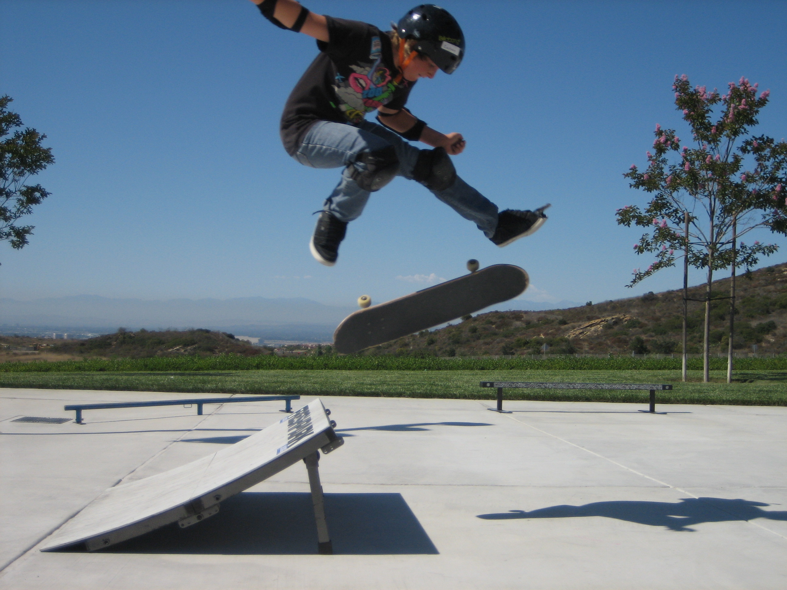 Summer camp Skatedogs Skatedogs